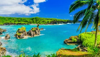 Unforgettable Snorkeling Adventures in Maui